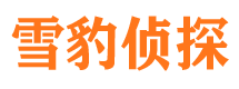 西夏市出轨取证